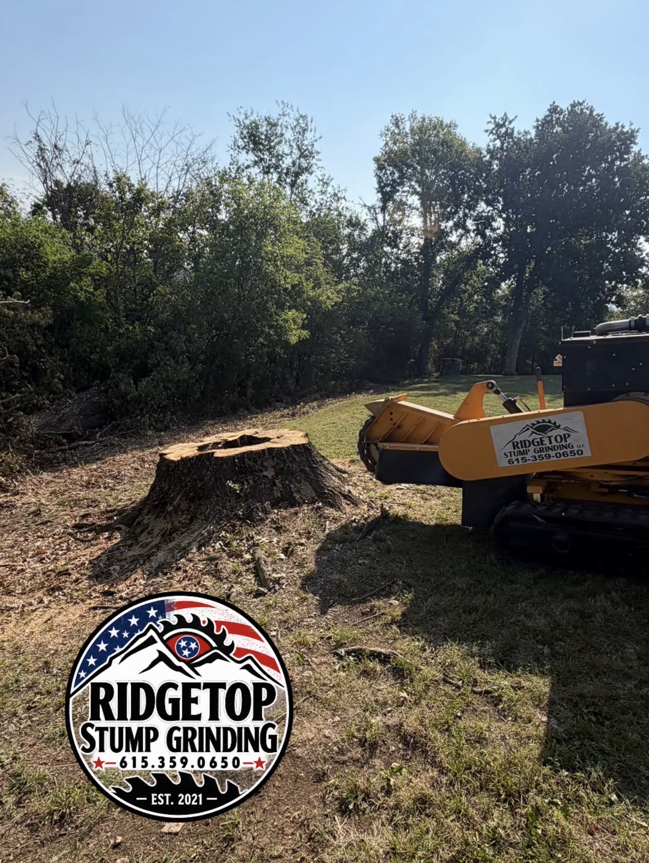 RidgeTop grinder positioned beside a large stump