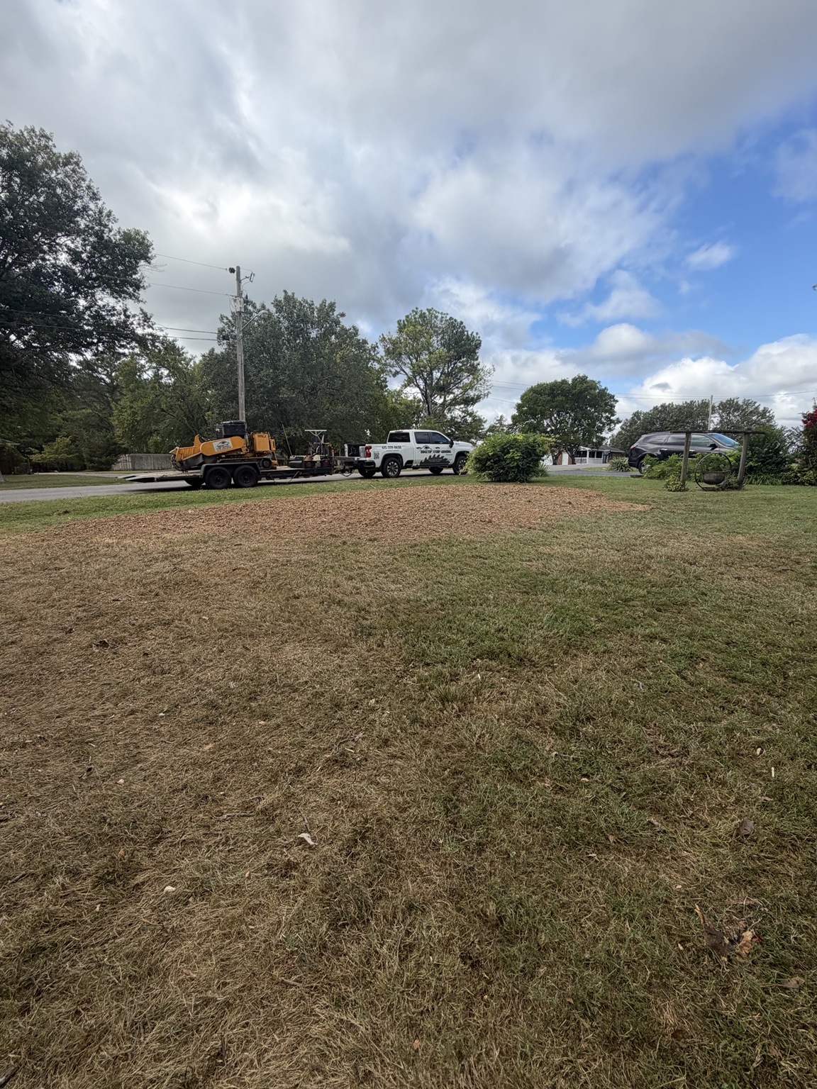 Cleaned and ground residential yard area