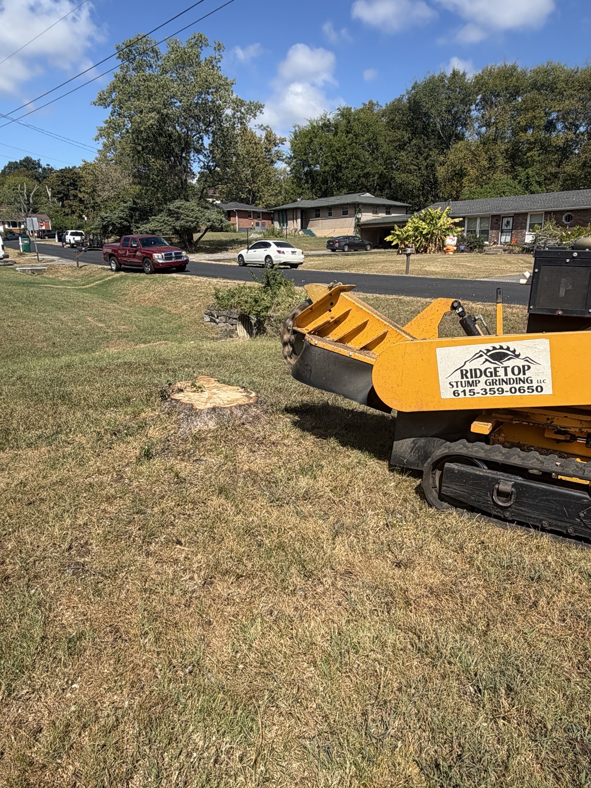 RidgeTop stump grinder working in a residential yard