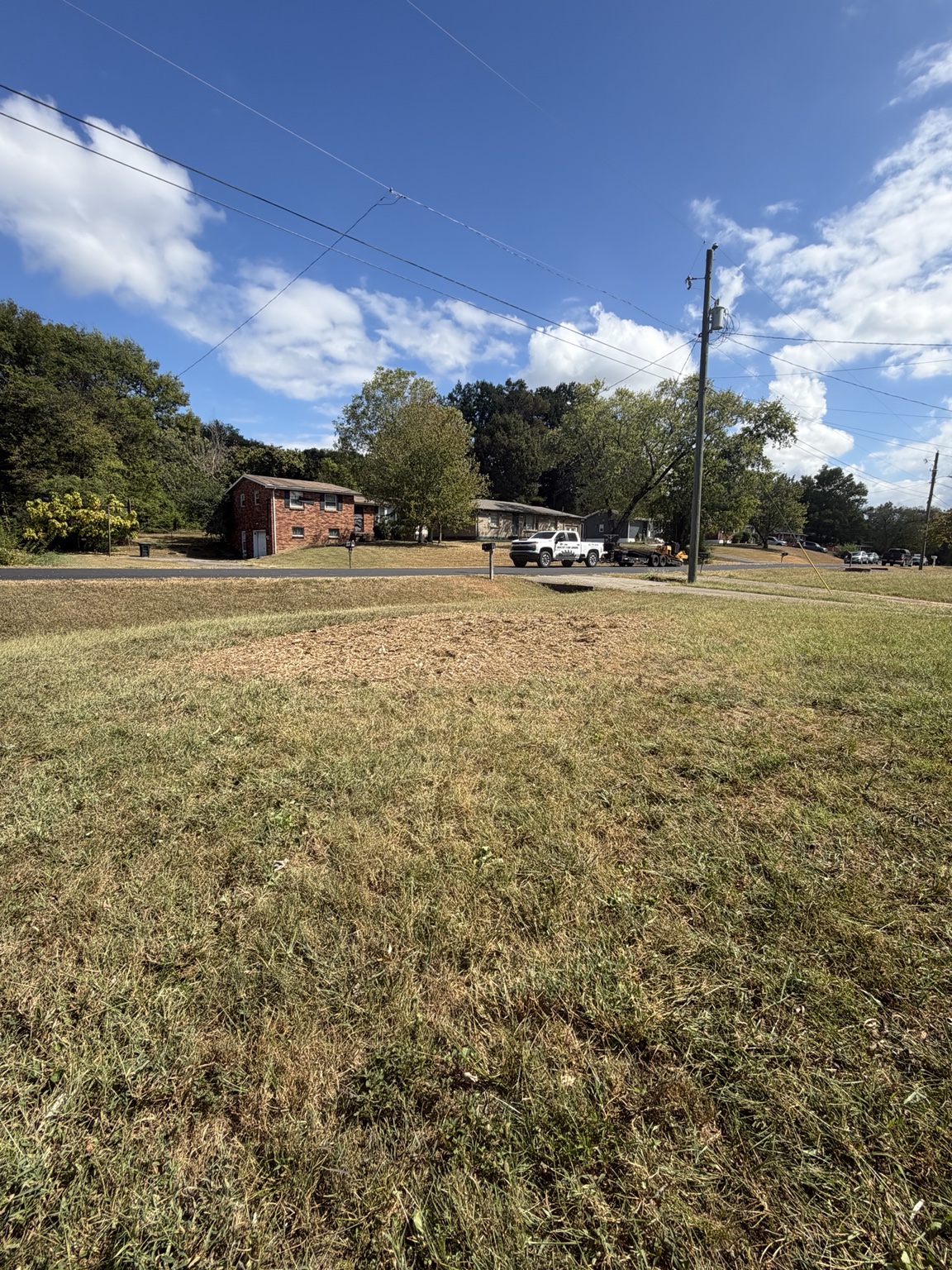Freshly ground stump area with wood chips